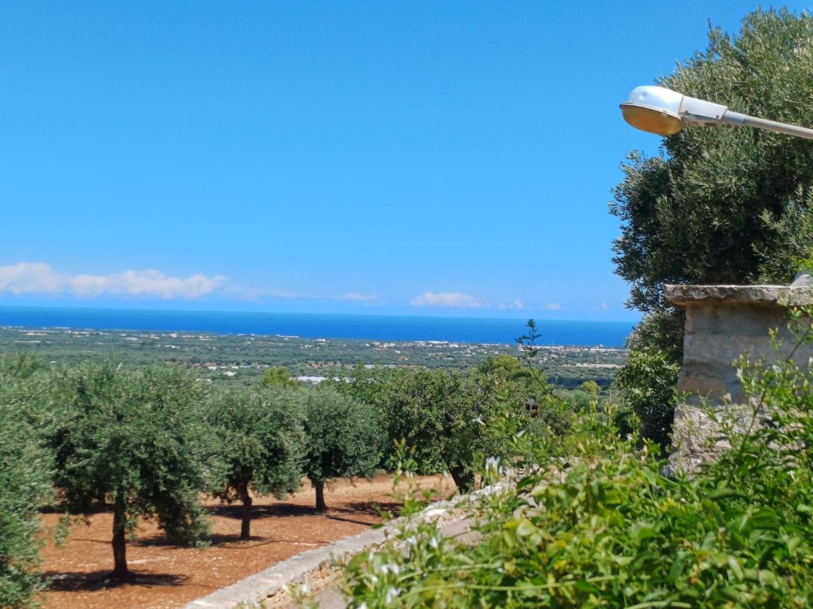 Villa Hill Trull - Typical Apulian House Monopoli Exterior foto